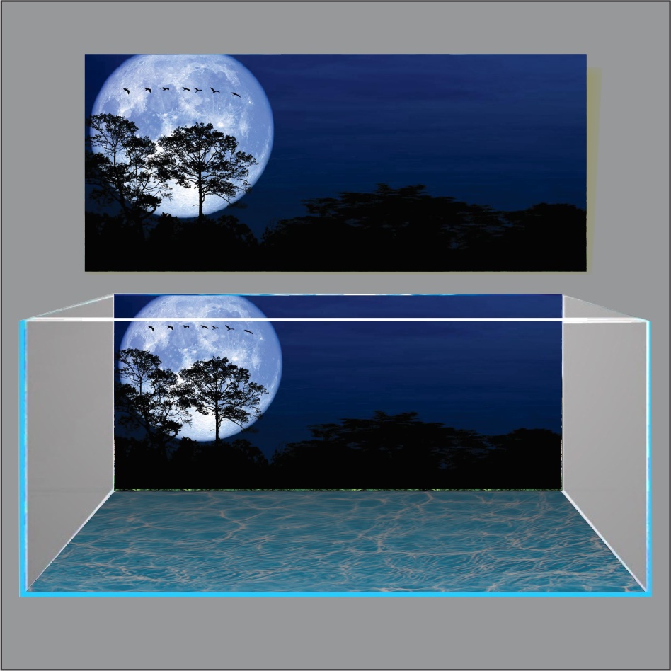 TRANH 3D DÁN HỒ CÁ NEW MOON LIGHT_TRANH LƯNG