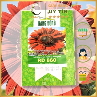Hạt Giống Hoa Hướng Dương Đỏ RD 860 (1gr)