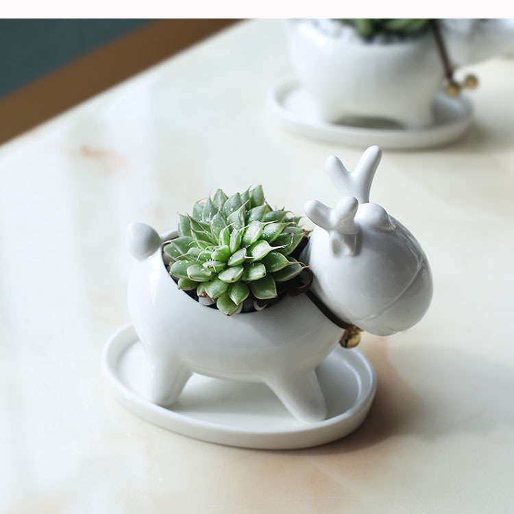 Chậu Trồng Cây Sen Đá, Xương Rồng Cây Mini Tuần Lộc Có Khay Lỗ Thoát Nước