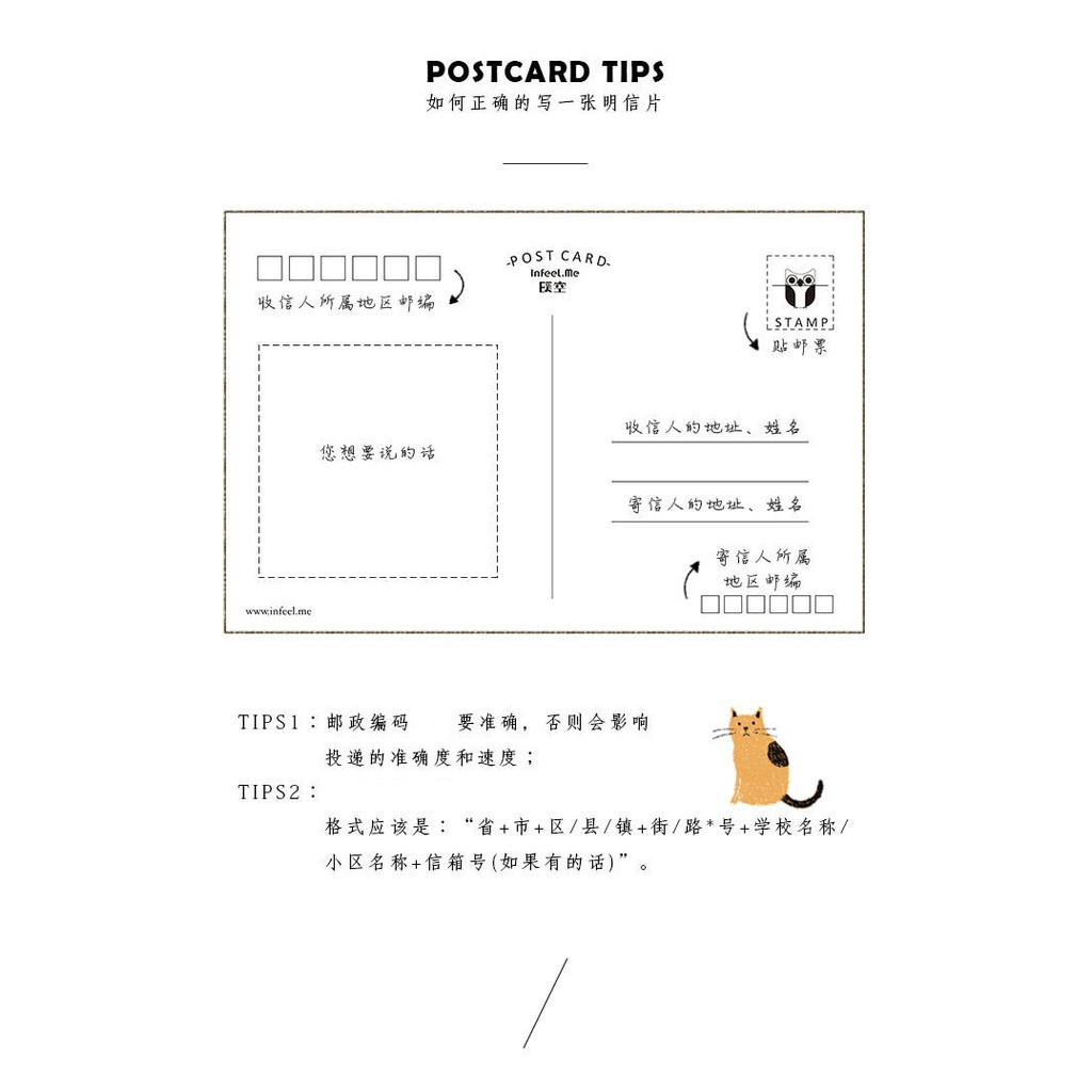 Hộp 30 tấm postcard thiệp hình mèo đáng yêu