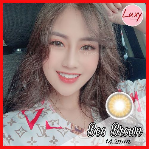 [Ảnh Thật] Lens Bee Brown 0-6 độ Nhập Khẩu Chính Hãng Hàn Quốc - Kính Áp Tròng Luxy Lens