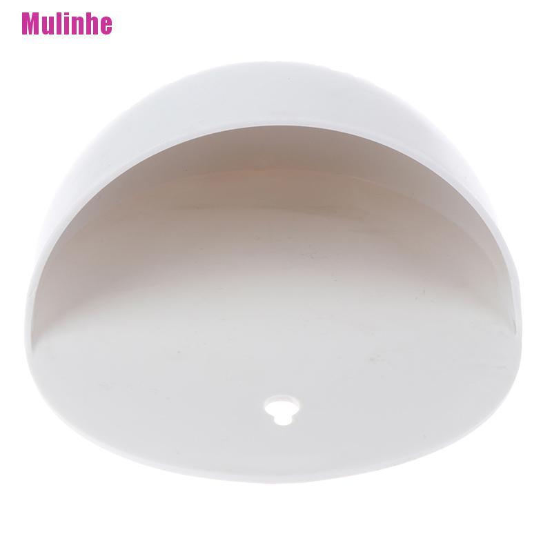 Chậu Hoa Treo Tường Bằng Acrylic Sáng Tạo