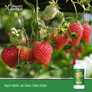 Nano bạc đồng Nano Xgreen cung cấp dưỡng chất, tăng đề khoáng, hỗ trợ cho cây có triệu chứng vàng lá, thối rễ 1000ml