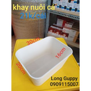 Combo khay nhựa nuôi cá 30x20x16
