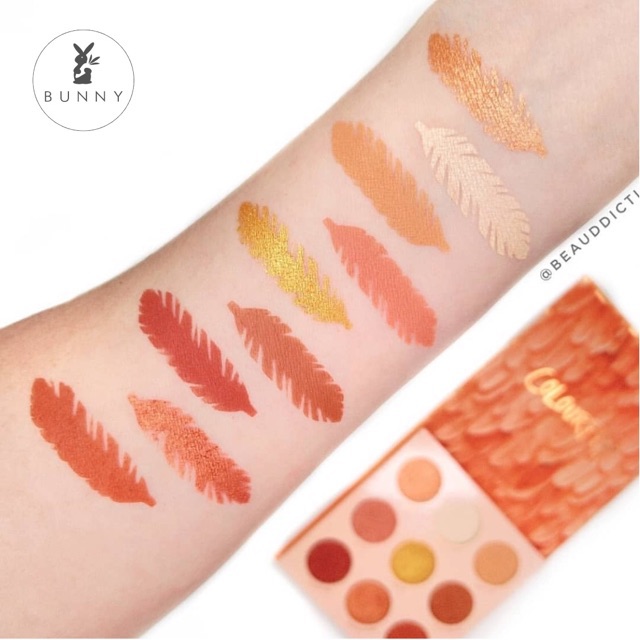 Bảng phấn mắt Colourpop Bird of Paradise