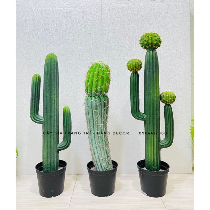 Xương rồng giả trang trí 75cm hằng decor