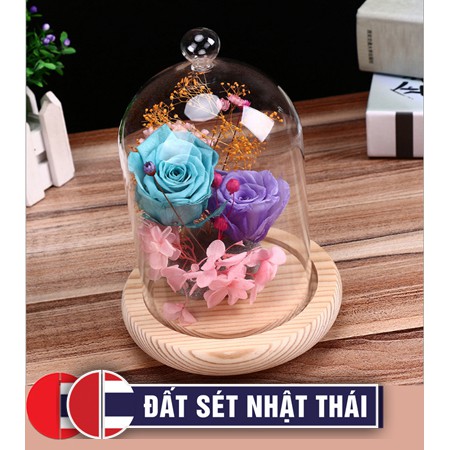 LỒNG THỦY TINH PHA LÊ ĐẾ GỖ TRẮNG 3CM - NÚM TRÒN