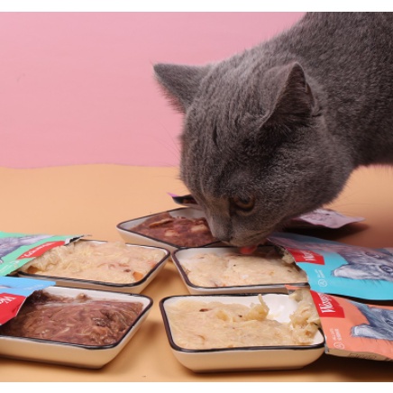 Pate Wanpy thức ăn ướt cho mèo pate mèo ngon gói 80g