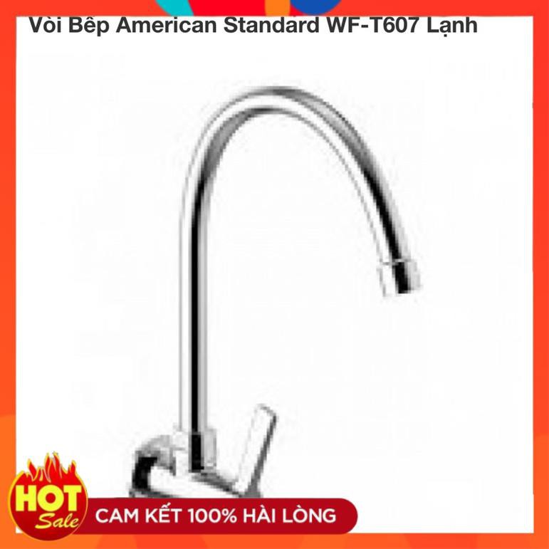 Vòi Bếp , Vòi Rửa Chén Bát Lạnh Gắn Chậu , Gắn Tường American Standar WF-T606, WF-T607 chính hãng