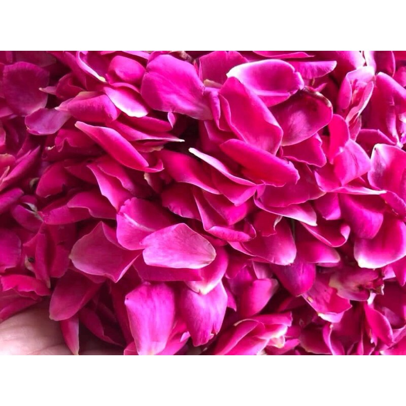 KAROSE NƯỚC CẤT HOA HỒNG | BigBuy360 - bigbuy360.vn