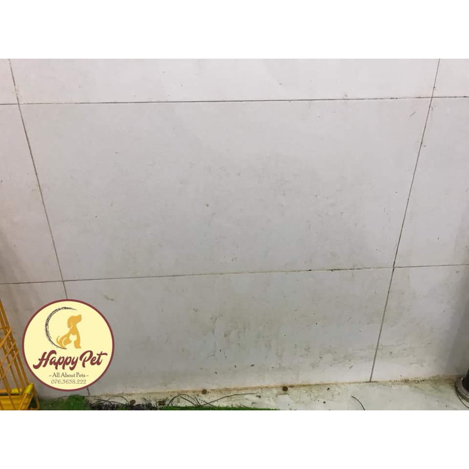 DUNG DỊCH VỆ SINH CHUỒNG TRẠI NHÀ CỬA TỐT NHẤT TẠI THÁI LAN