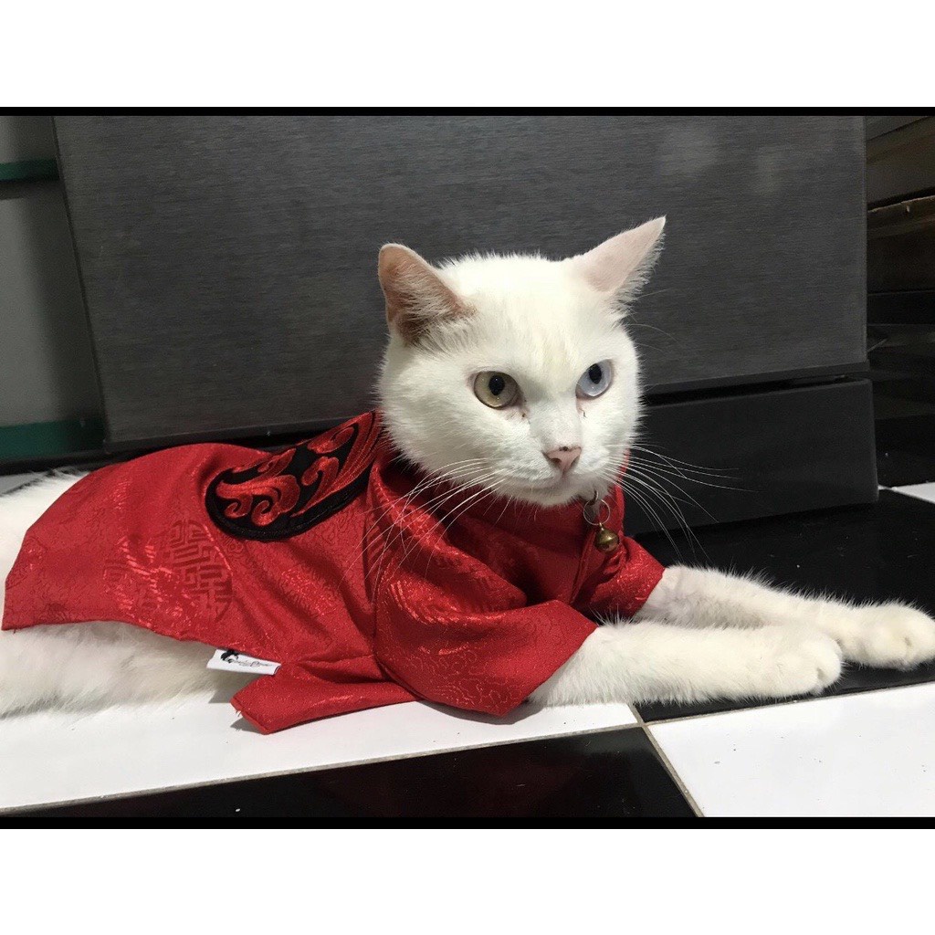 Áo chó mèo, áo dài tết vải gấm cho chó mèo họa tiết ngẫu nhiên