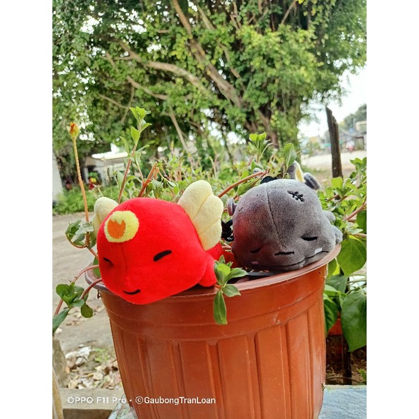 Móc khoá gấu bông dễ thương