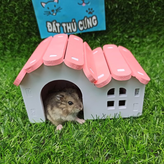 Nhà ngủ hamster mái cong