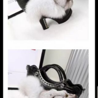 (ORDER) Túi độc lạ 500