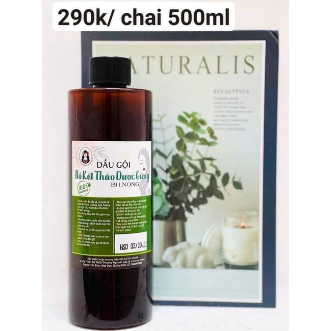 Dầu gội bồ kết- Bh.nong