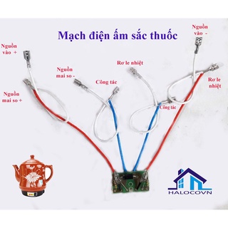 Mạch điện ấm sắc thuốc bắc điện _ sửa chữa ấm đun thuốc