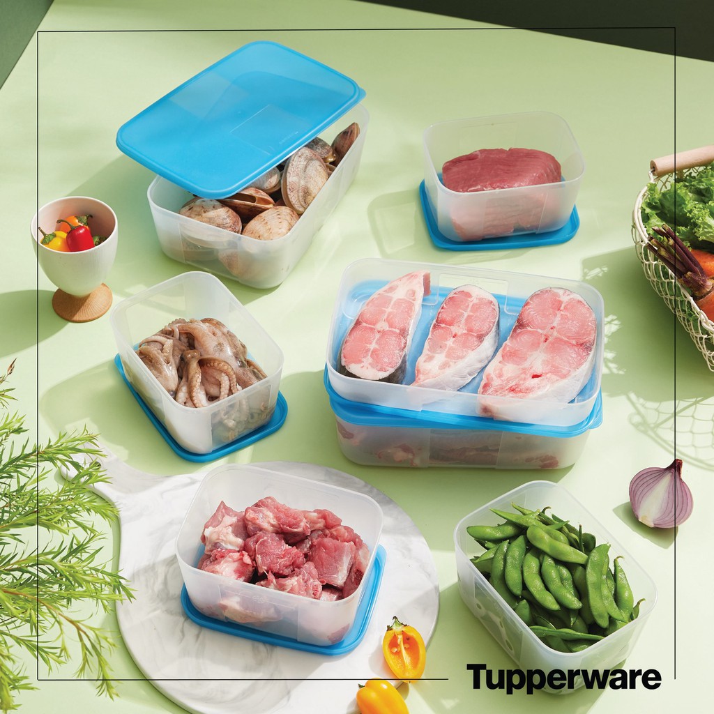 Bộ Trữ Đông Tupperware Freezermate Fit Set 7 - Nhựa Nguyên Sinh An Toàn Sức Khỏe - Nắp Không Có Roll Cao su