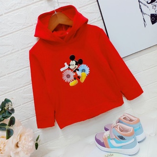 Áo nỉ bông (hoodie)
