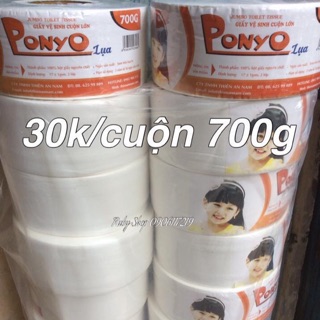 Giấy vệ sinh cuộn lớn cao cấp