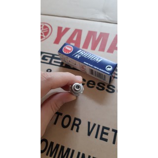 Bugi NGK Iridium zin Yamaha