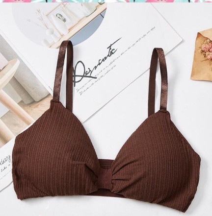 ÁO BRA THẮT NƠ GÂN TĂM XINH XẮN MÚT DÀY NÂNG NGỰC 308