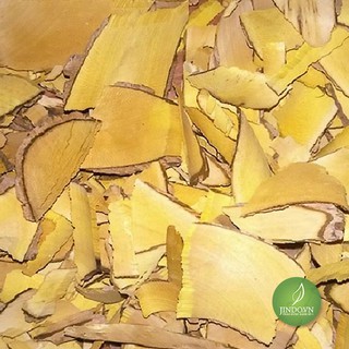 0,5kg Cây mật gấu bắc JD008