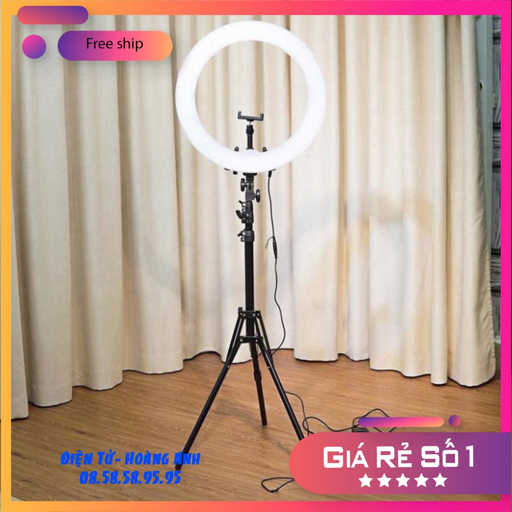 đèn livestream 46cm