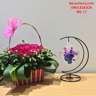 Bể cá mini cung trăng 17 (Tặng kèm phụ kiện trang trí)
