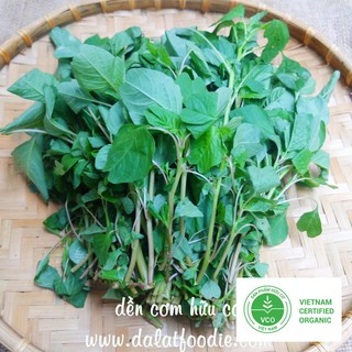 10g Hạt giống Rau dền cơm THUTHUY