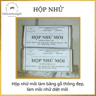 Hộp nhử mối làm bằng gỗ thông - dẫn dụ mối ''