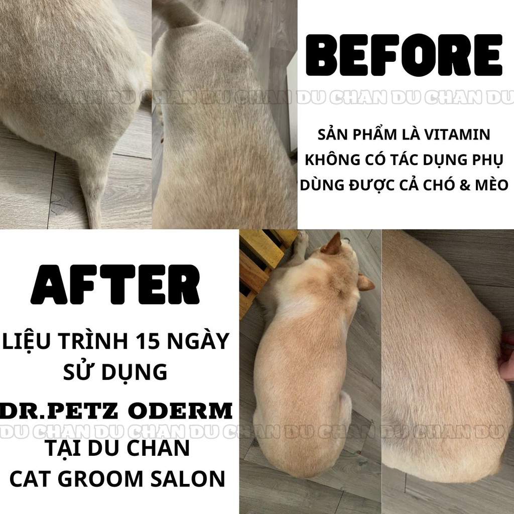 VIÊN KÍCH MỌC LÔNG - DƯỠNG LÔNG DA CHÓ MÈO - HỖ TRỢ ĐIỀU TRỊ NẤM GHẺ VIÊM DA DR.PET ODERM