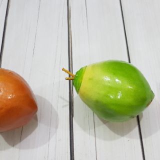 Trái cây giả loại xịn