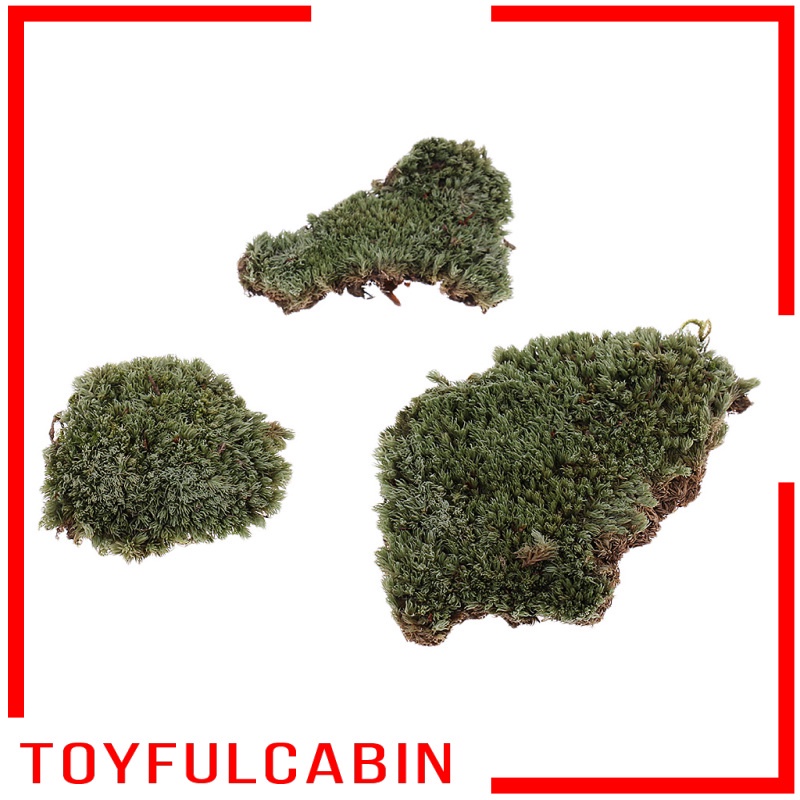 Mô Hình Bãi Cỏ Lichen Moss Màu Xanh Lá Tỉ Lệ 1: 35 DIY