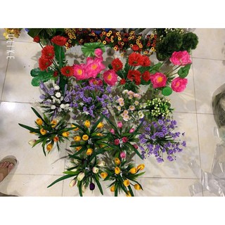 chậu hoa mini để bàn
