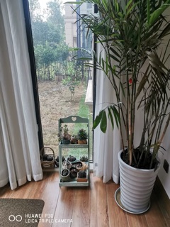 Kệ để cây cảnh trong nhà