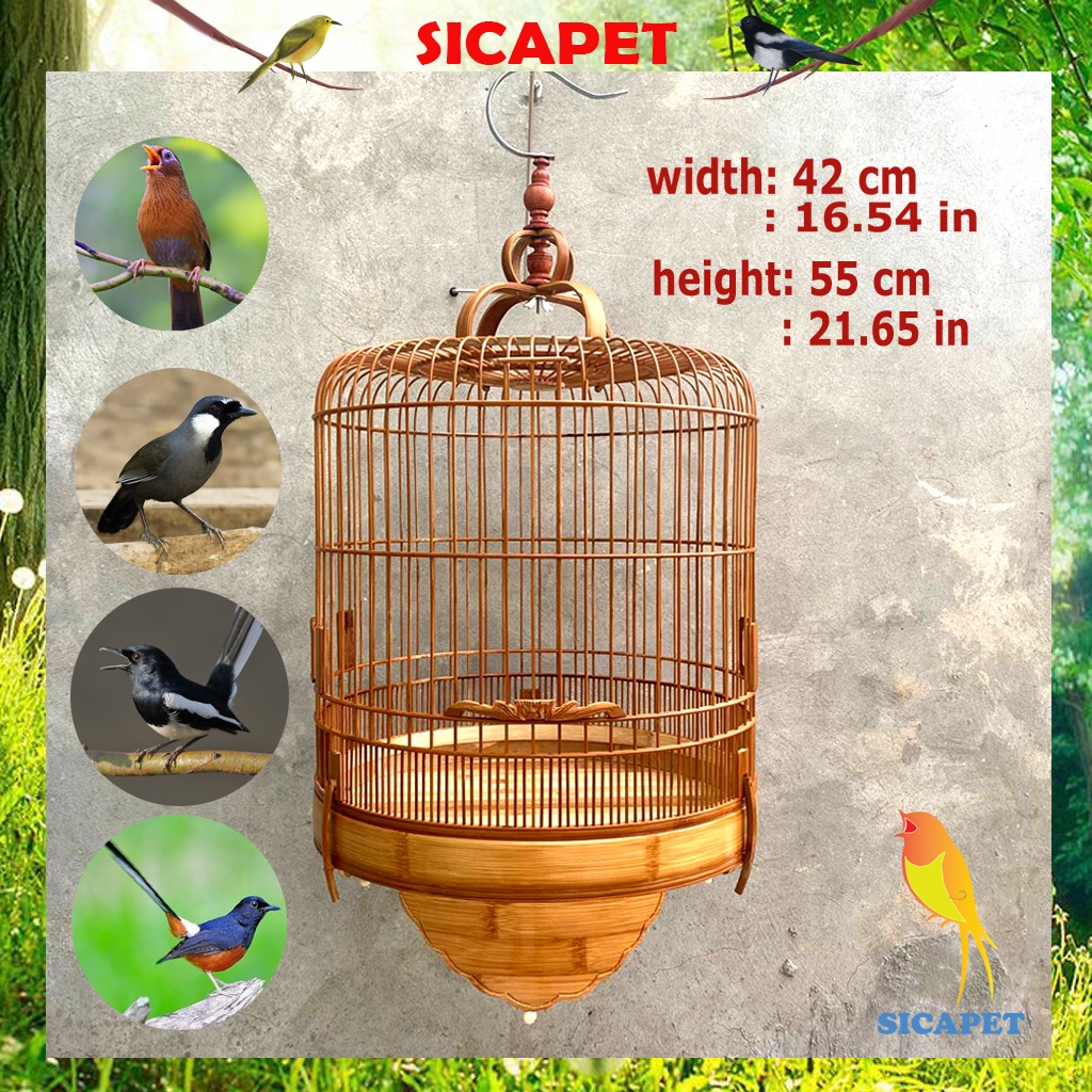 Lồng chim Khướu, chim Họa Mi, chim Chòe Than, chim Chào Mào, Lồng chim Chòe Than, Chim Chòe Lửa, Chim Chào Mào SICAPET