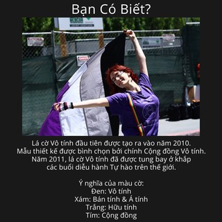 Cờ Vô tính, phổ Vô tính (Asexual/ LGBT)