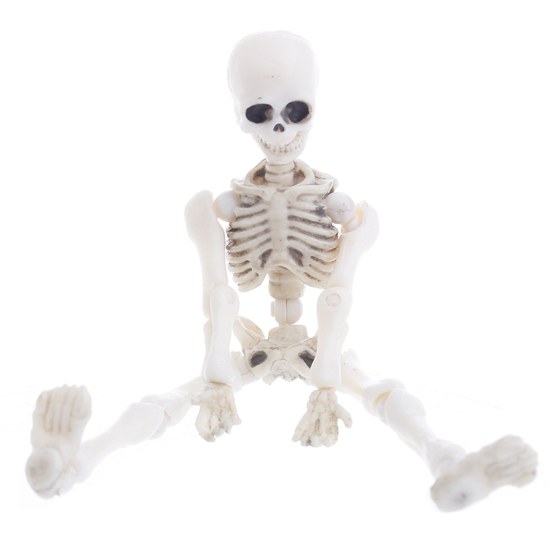 Mô Hình Bộ Xương Người Mini Toàn Thân Có Thể Di Chuyển Dùng Hóa Trang Halloween