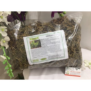 Cây Thông Đất (Râu Rồng) - thảo dược thanh bình
