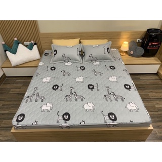 ga gối cotton poly chun trần bông