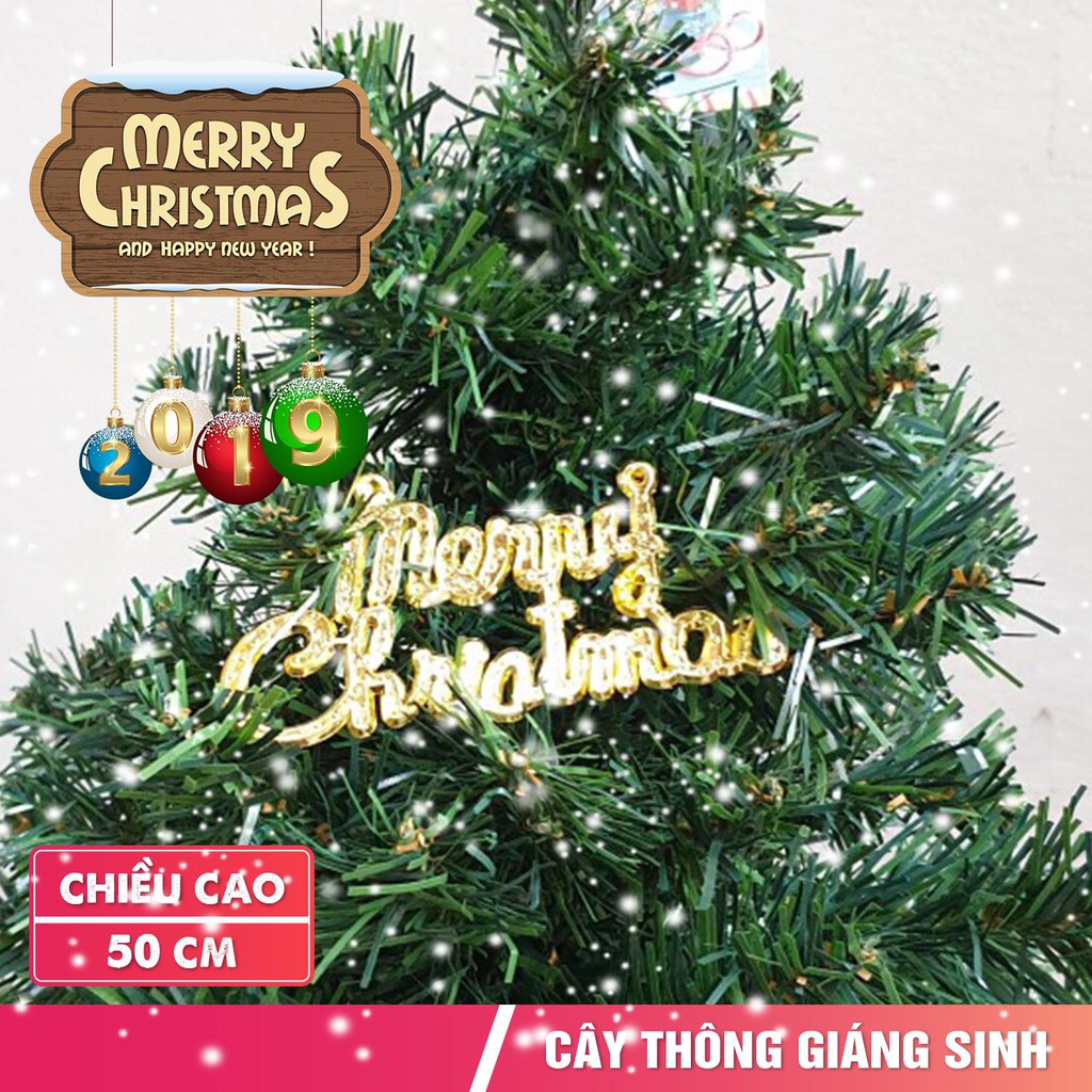 Cây thông Noel trang trí cao 50cm 🎄 FREESHIP 🎄 Cây thông Noel mini trang trí đầy đủ phụ kiện cao 50m mẫu C12