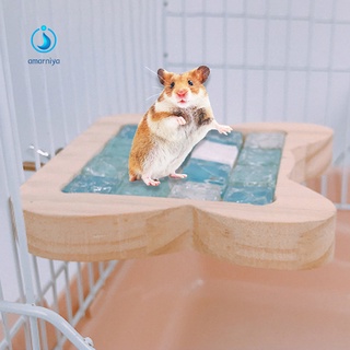Tấm Làm Mát Bằng Gỗ Đính Đá Pha Lê Cho Chuột Hamster