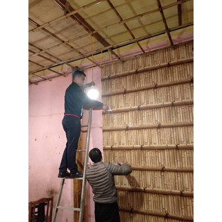 Giấy dán tường giả tre xưa độc đáo