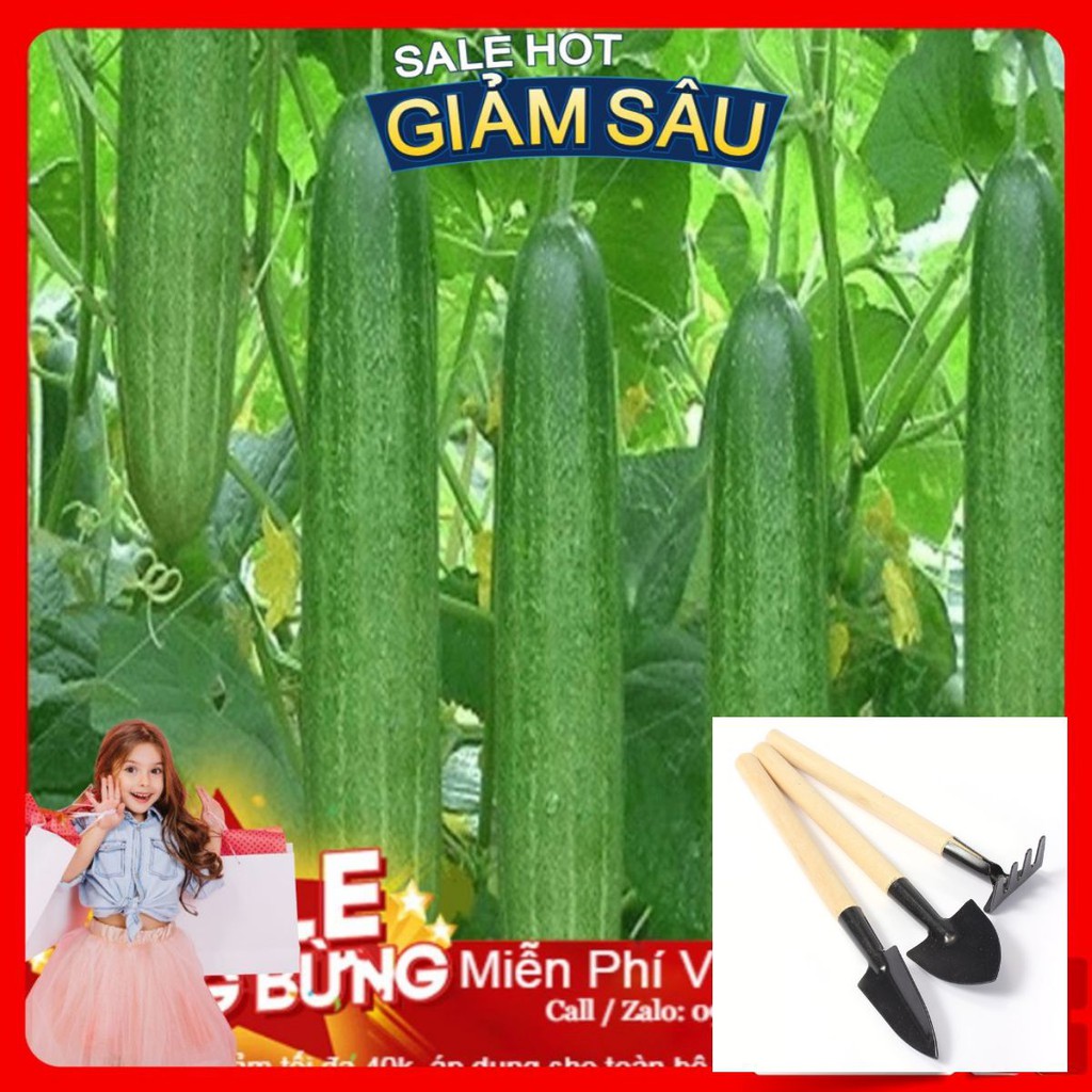 Hạt Giống Dưa Chuột Chịu Nhiệt - 10 Hạt / Gói - Tặng Kèm Bộ Dụng Cụ Trồng Cây Mini