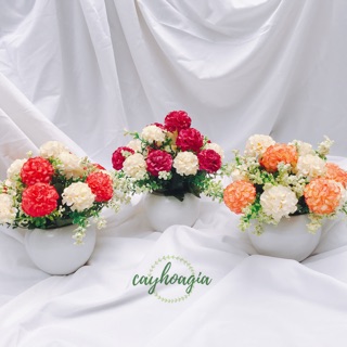 Chậu hoa tú cầu cắm sẵn m03