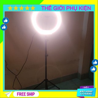 Đèn livestream 36cm 3 kẹp, có điều khiển siêu sáng, đèn spa, chụp ảnh, phun xăm, nối mi 😘😘 - shein shop