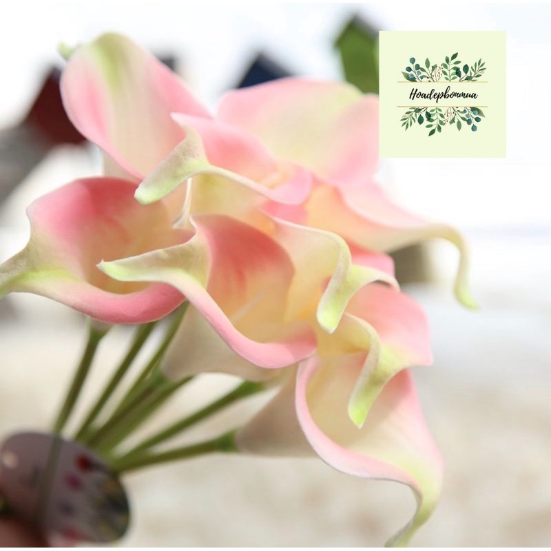 [GIÁ SỈ] Hoa giả - Calla LiLy nhí 35cm mô phỏng giống thật, hoa cô dâu, hoa decor trang trí