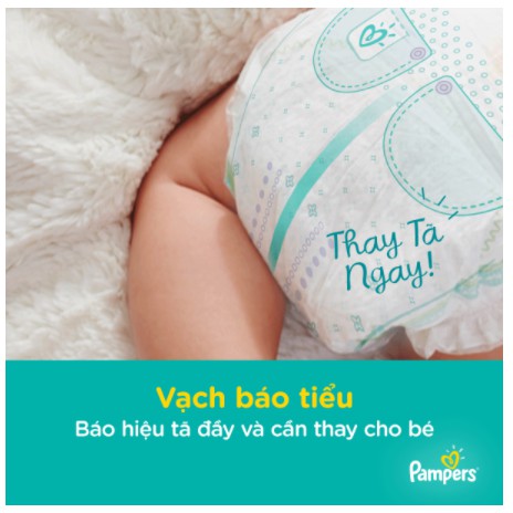 Bỉm tã quần Pampers giữ dáng size L 54 miếng (9-14kg)