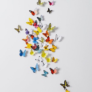 Sét 18 bướm dán 3D trang trí tường